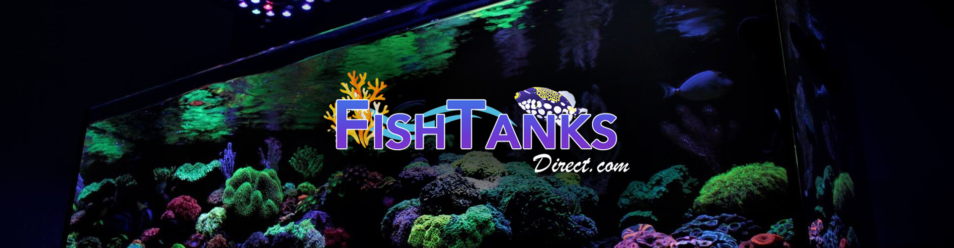 Fish Tanks Direct banner