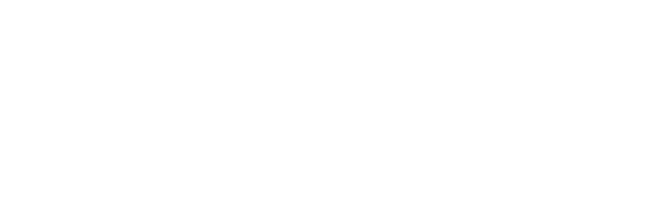 Binho Board Logo
