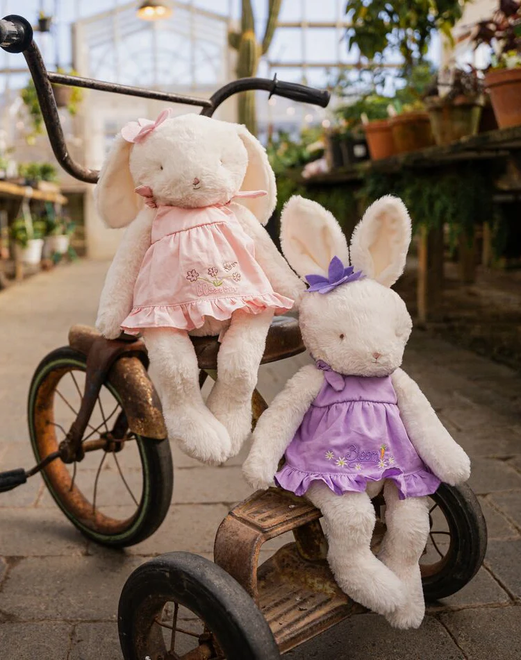 Bunnies by the Bay - Graphic