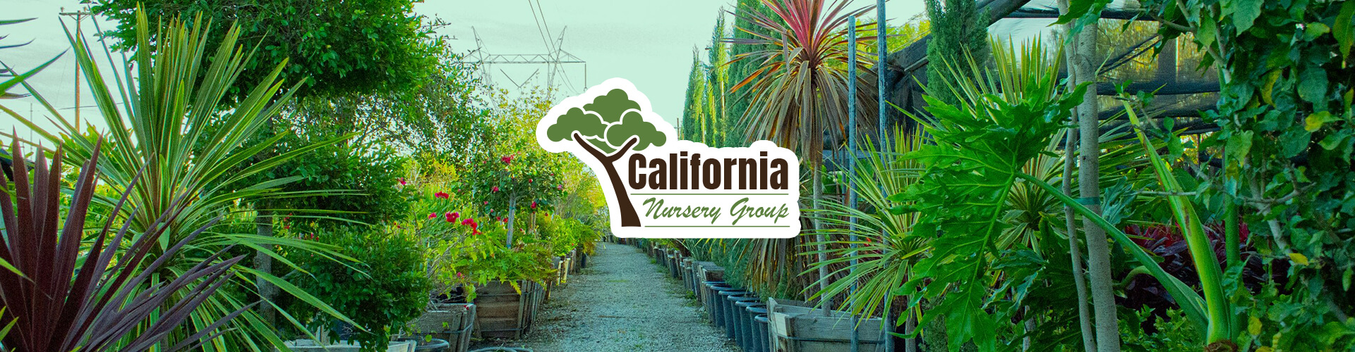 California Nursery Group banner