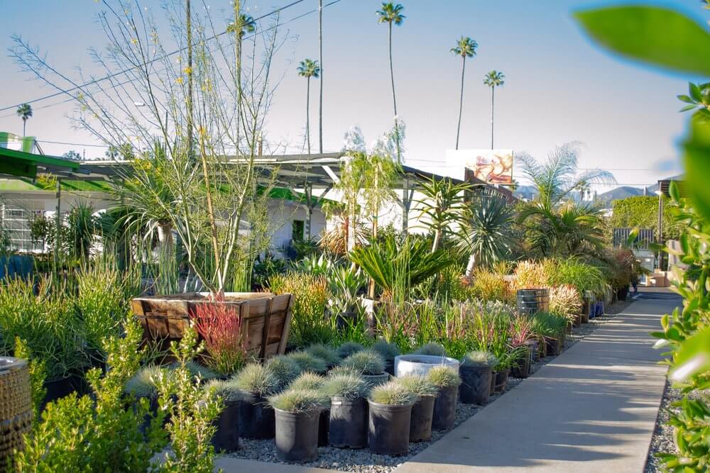 Case Study - California Nursery Group