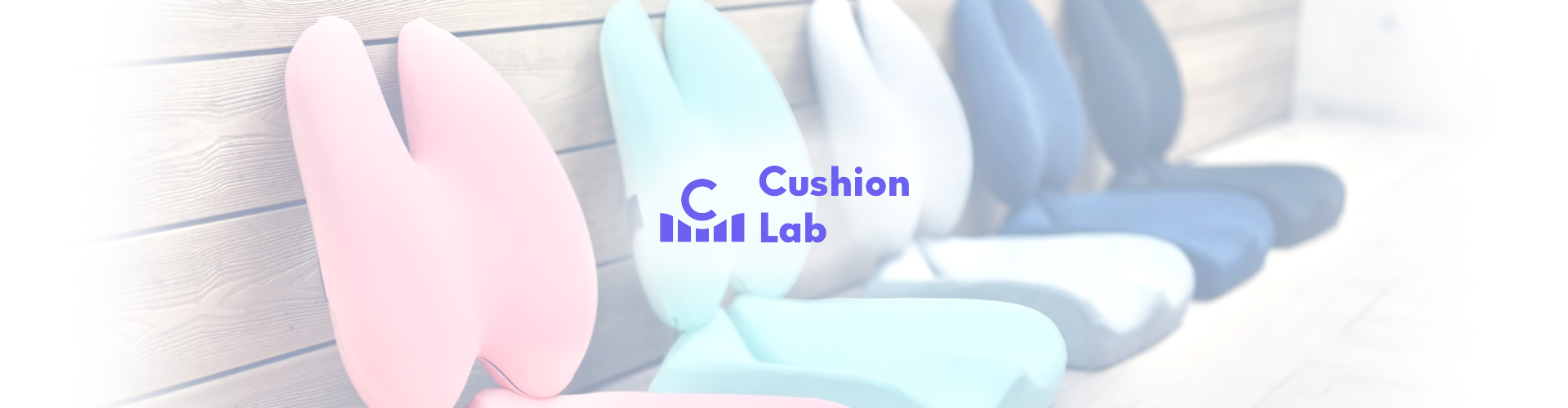 How The Cushion Lab Grew Sales by 9x - Ware2Go