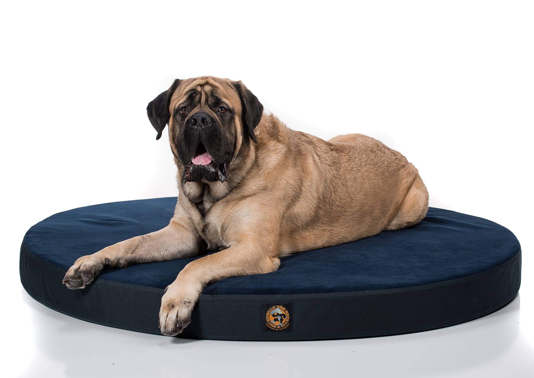 Case Study - Gorilla Dog Beds