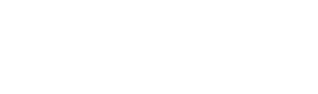 Hawaii by Storm logo