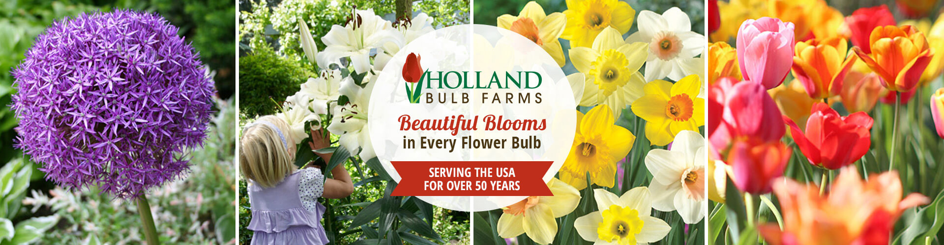 Holland Bulb Farms banner