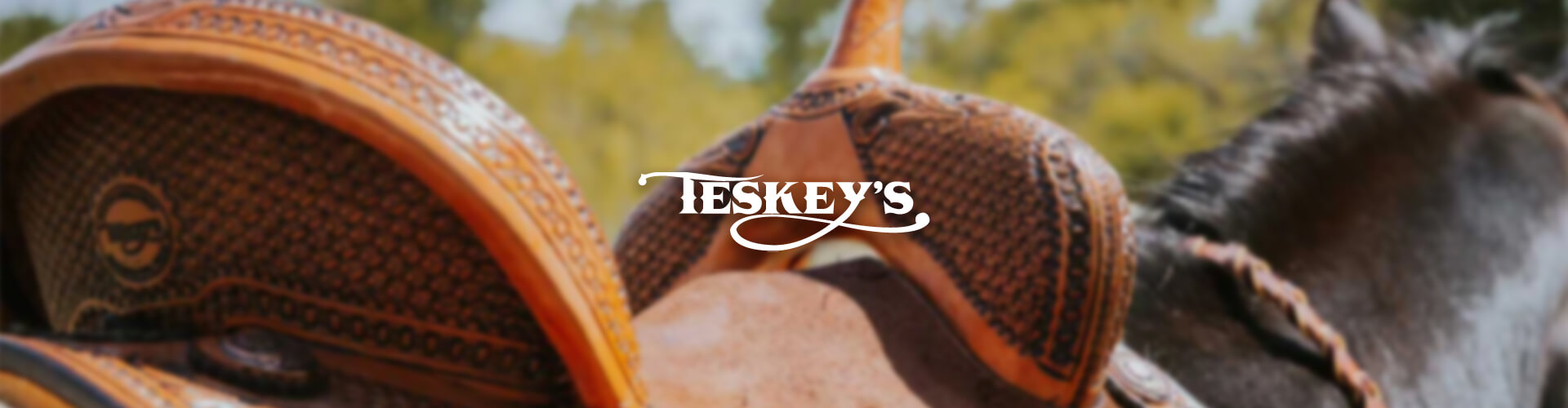 Teskey’s Saddle Shop banner
