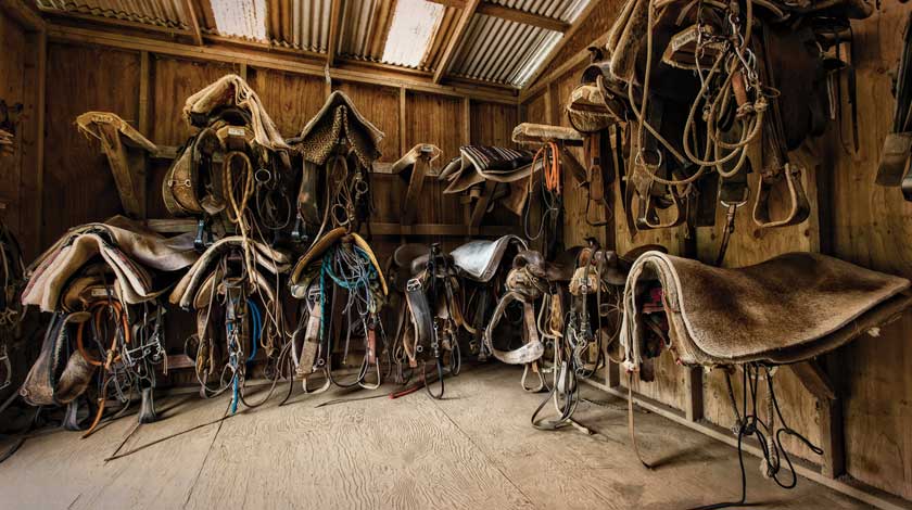 Teskey’s Saddle Shop