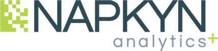 Napkyn Analytics logo