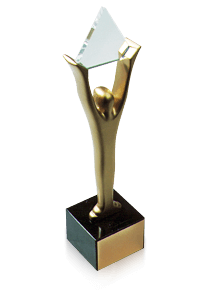 Gold Stevie Award - Marketing Campaign of the Year