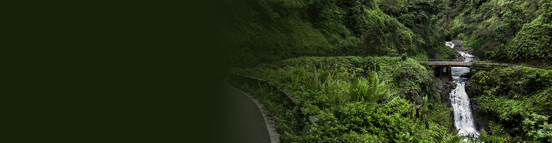 Hawaii by Storm banner