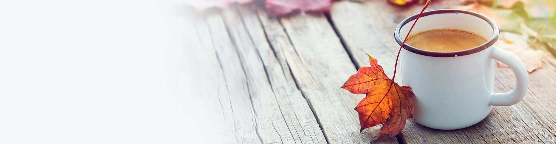 Door County Coffee banner