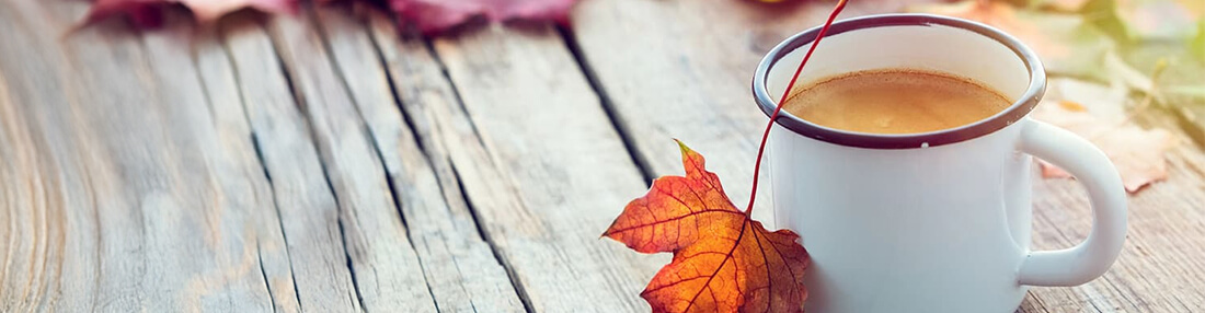 Case Study - Door County Coffee